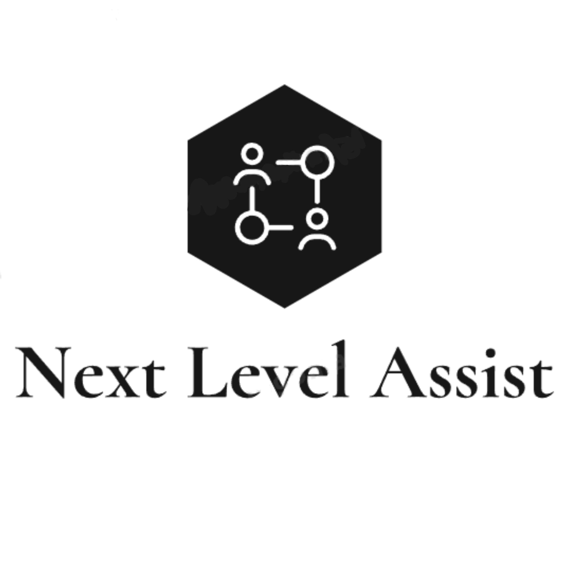 Next Level Assist